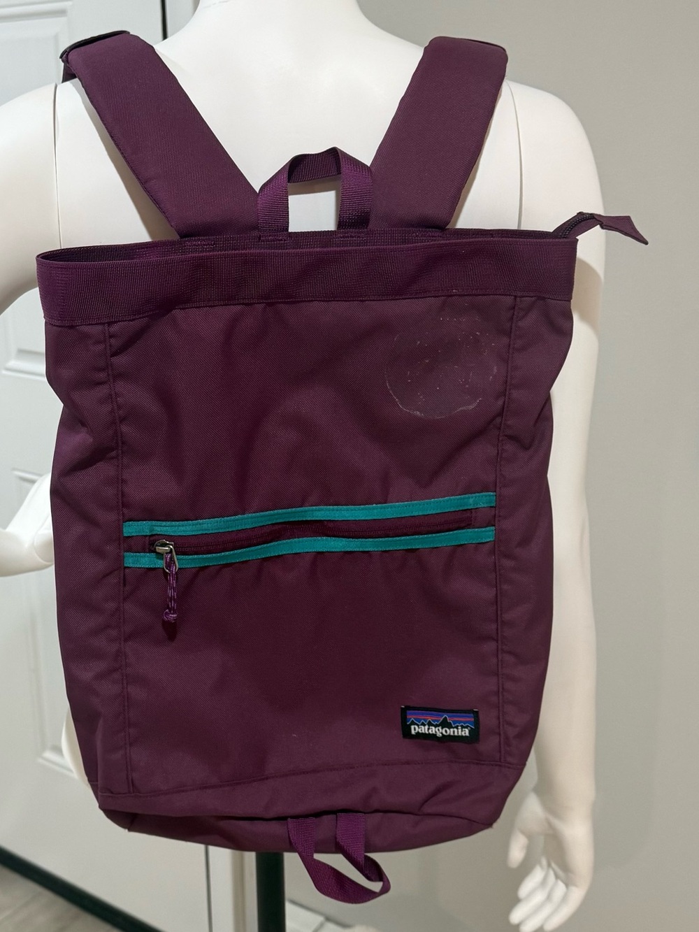 Patagonia Plum Purple Backpack with Teal Accents